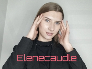 Elenecaudle