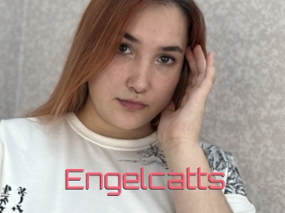 Engelcatts