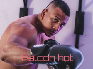 Falcon_hot