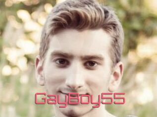 GayBoy55