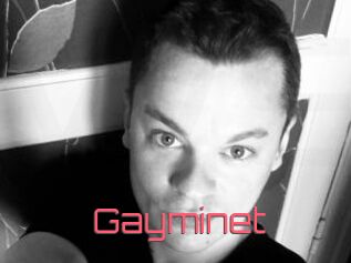 Gayminet