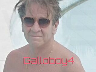 Galloboy4