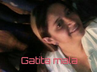 Gatita_mala