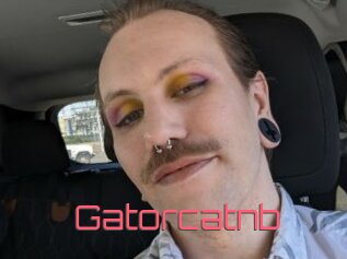 Gatorcatnb