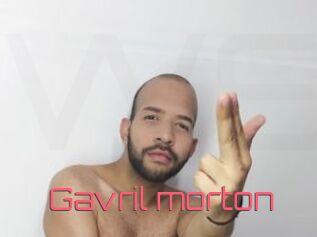 Gavril_morton