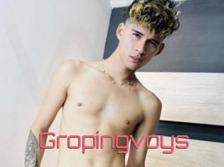 Gropingvoys