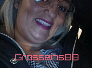 Grosseins88