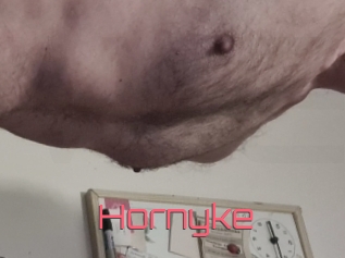 Hornyke