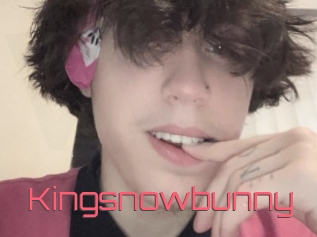 Kingsnowbunny