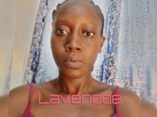 Lavenode
