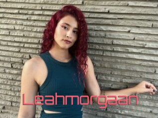 Leahmorgaan