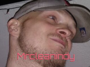 Mrcleanindy