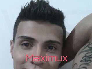 Maxi_mux