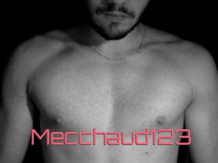 Mecchaud123