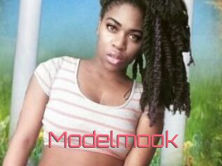 Modelmook