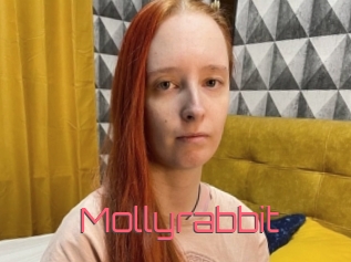 Mollyrabbit