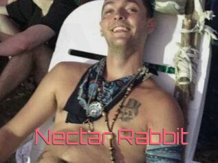 Nectar_Rabbit