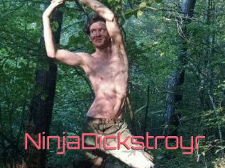 NinjaDickstroyr