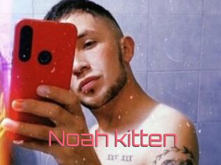 Noah_kitten