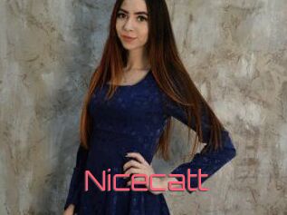 Nicecatt