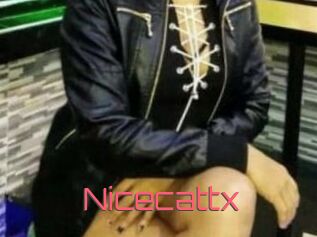 Nicecattx