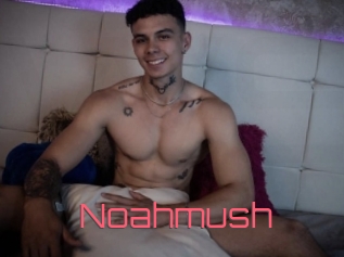 Noahmush