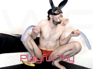 Playful_Toy