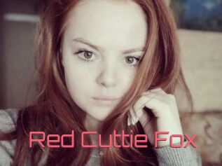 Red_Cuttie_Fox