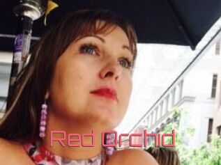 Red_Orchid