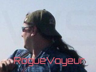 RogueVoyeur