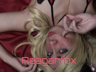 Reaganfox