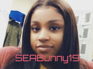 SEABunny19