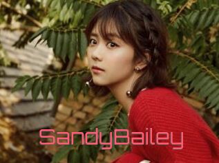 SandyBailey