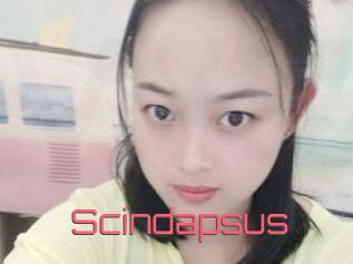 Scindapsus