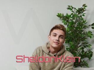 SheldonKlein