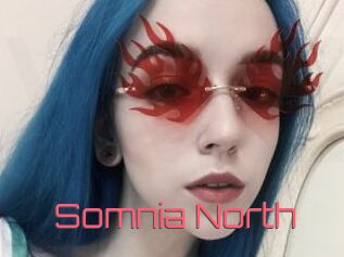 Somnia_North