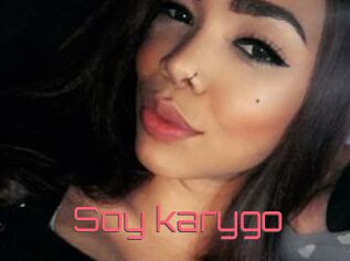 Soy_karygo