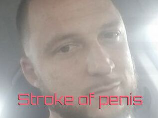 Stroke_of_penis