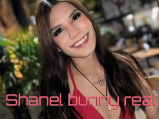 Shanel_bunny_real