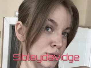 Sibleydavidge