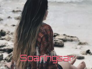 Soaringsar