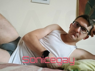 Sonicegay