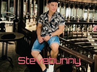 Stevebunny