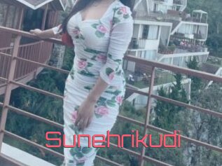 Sunehrikudi