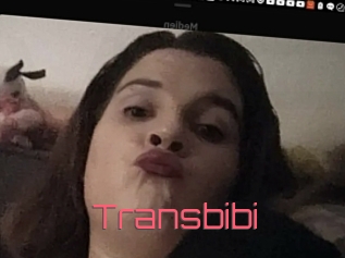 Transbibi