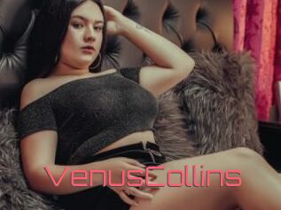 VenusCollins