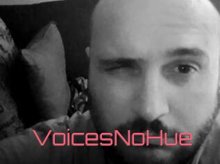 VoicesNoHue