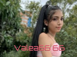 Valea66_66