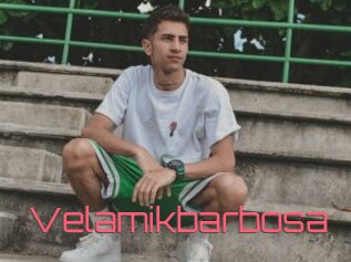 Velamikbarbosa