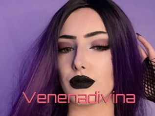 Venenadivina